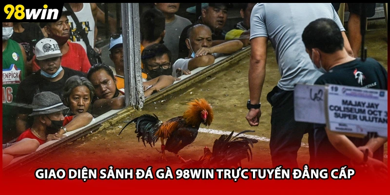 Giao diện sảnh đá gà 98WIN trực tuyến đẳng cấp